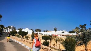 Domina Coral Bay 06.01.2025