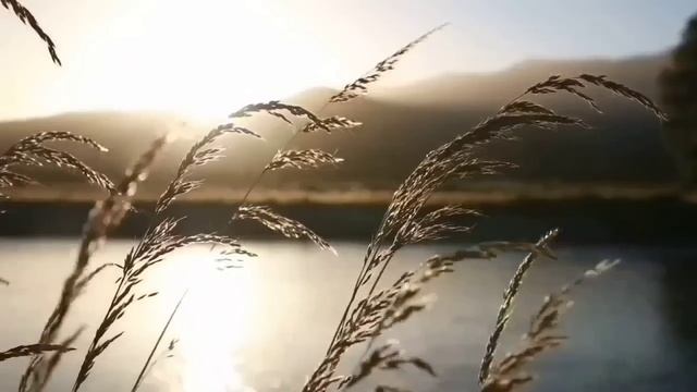 С ГОРЯ ПЕРЕБИЛА ВСЕ ТАРЕЛКИ! ОЛЬГА УРАЛОЧКА LIVE. ОБЗОР. смотреть онлайн