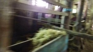 ЛОШАДИ/ОБЗОР ЛОШАДЕЙ В КОЛХОЗНОЙ КОНЮШНЕ