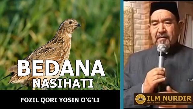 BEDANA NASIHATI - FOZIL QORI смотреть онлайн