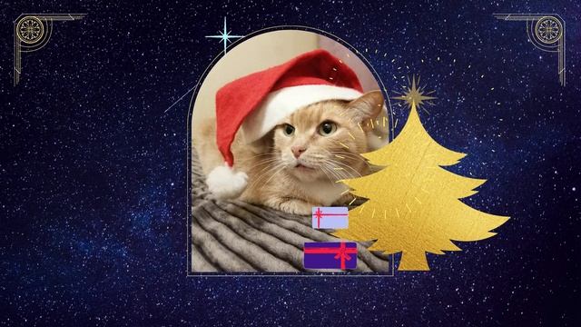 Счастливого Рождества!