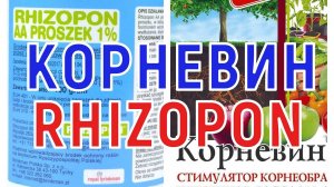 КОРНЕВИН ИЛИ RHIZOPON?