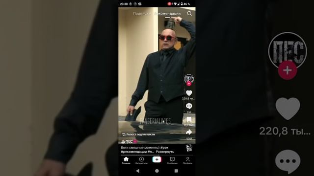 пёс смешные моменты смотреть онлайн