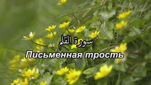 Сура 68. аль-Калям/ Письменная трость, со смысловым переводом. Чтец - Имад аль-Мансори