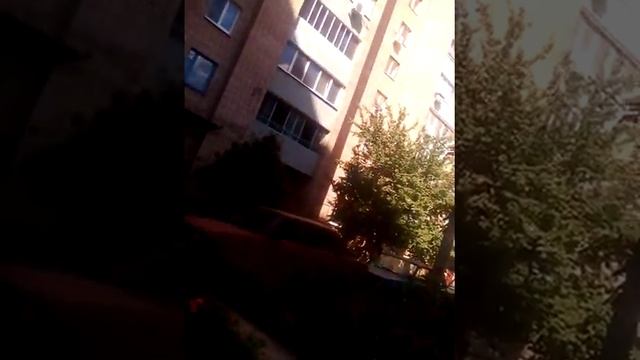 ,кушаем пиццу на улице смотреть онлайн