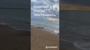 Помогаем убирать мазут с орловского пляжа в Севастополе. 05.01-2025
