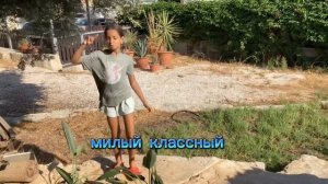 Кино Лиды, Факты от Максима-Зёмка Котик (Премьера Клипа)