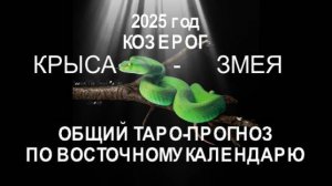 ОБЩИЙ ТАРО-ПРОГНОЗ НА 2025 ГОД ПО ВОСТОЧНОМУ КАЛЕНДАРЮ КОЗЕРОГ (КРЫСА-ЗМЕЯ)