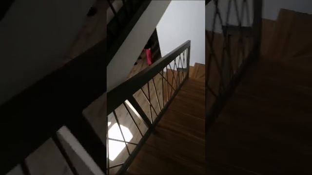 AFFR5049 Лестница с Loft ограждением