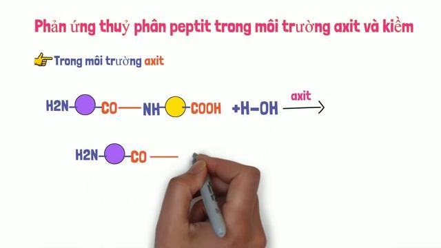 [Hoá học 12] PEPTIT - Hiểu rõ khái niệm và bản chất phản ứng thuỷ phân PEPTIT trong 1 nốt nhạc смотреть онлайн