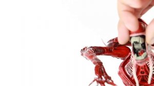 Neca Aliens Ultra Deluxe Genocide Red Queen quick look