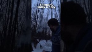 6 недель я живу в лесу! Начал строить снежный дом.  #survival #путешествия #поход #испытание