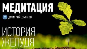 Медитация – История желудя (Сепарация от родителей)