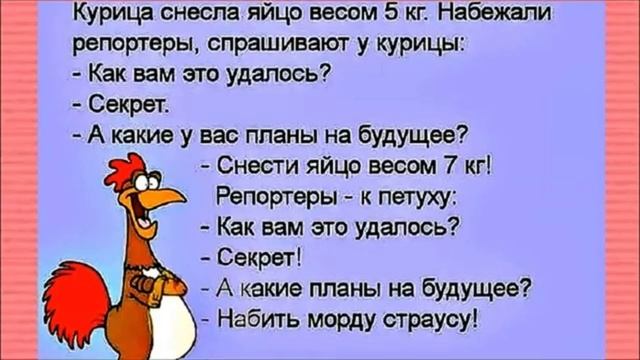 Курица снесла яйцо весом 5 кг. Набежали
репортеры, спрашивают у курицы:
- Как вам это удалось?