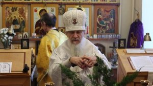 Проповедь епископа Амвросия (Тимрота) в Рождественский сочельник, 6 января 2025 года