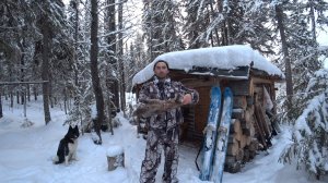 ДОБИРАЕМСЯ ДО ИЗБЫ. ПЕРВАЯ КУНИЦА В НОВОМ ГОДУ
