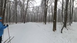 Лыжники 29.12.2024 Арбековский лес г.Пенза
