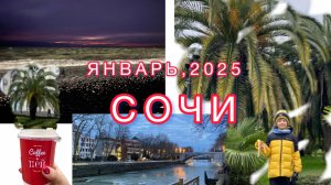 Хорошо гулять по Сочи даже в январе