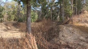 Cr500AF Cr 500 Cr500r Cr500afc 500r Honda Not Service Honda crf450r crf 450