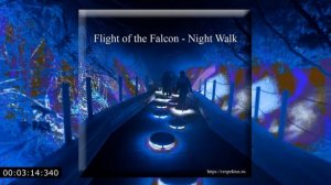 Flight of the Falcon - Night Walk (Progressive House, Melodic Techno)