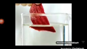 danone расмишка йогурт нонна гришаева 2009 реклама
