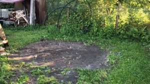 ВЛОГ: ДЕЛА САДОВЫЕ. СБОР ЧЕРНИКИ НА ЗИМУ