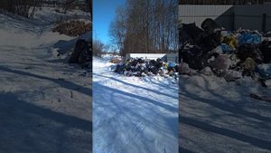 Свалка в Катуаре (Некрасовский)