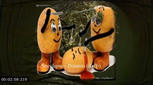 Sneclipse - Potatos (d'n'b) Drum & Bass, Neurofunk)  #music #freedownload