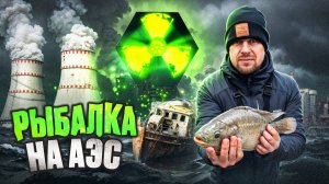 Рыбалка с ночёвкой на Атомной Электростанции. Ловлю Тилапию в озере Удомля, которое не замерзает