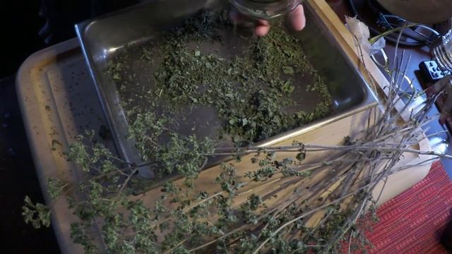 Preparing the Be Bop Kitchen Garden Oregano with Tink смотреть онлайн