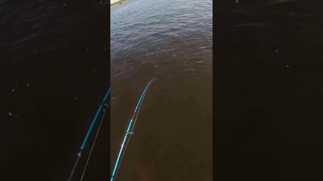 На рыбалке в этот момент камера выключается!!!