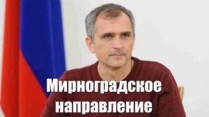Юрий Подоляка про войну на Украине 06.01.2025 - Мирноградское направление