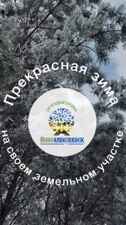 Прекрасная зима в загородном поселке ИЖС Новоалексеевск https://clck.ru/3FE57B