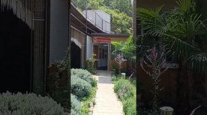 Столовая от гостевого дома МиГ, Лазаревское, август, 2024.