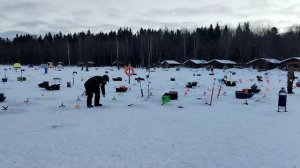 Обзор клева на зарыблении