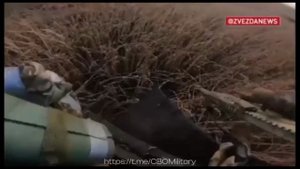 Military edit🇷🇺https://t.me/CBOMilitary