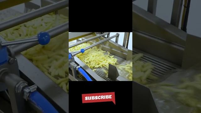 Automatic Potato Cutting and Washing Machine