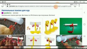 Про ниппельные поилки для куриц
