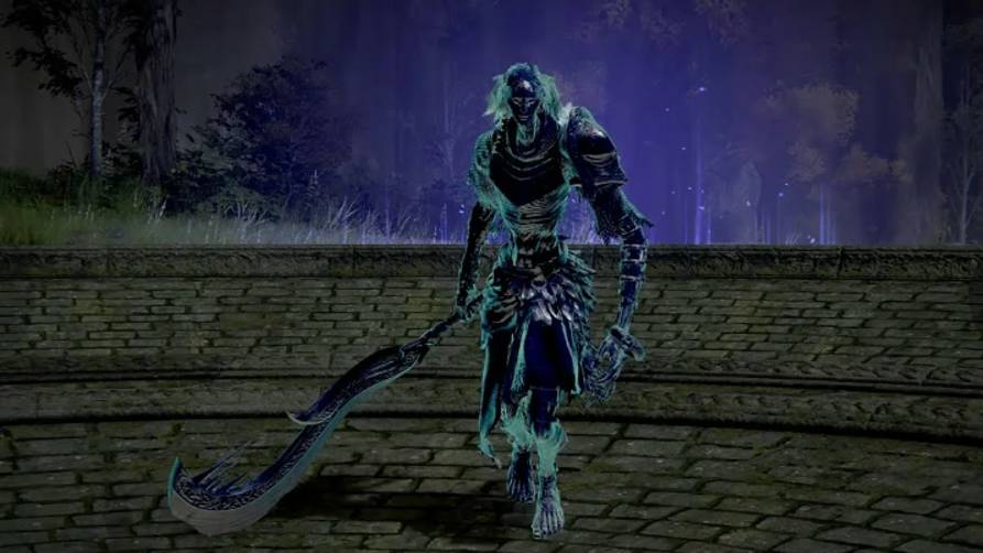 12. прохождение Elden ring, босс - древний герой Замора