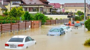 Почему мы счастливо живем в Сочи ? Почему нам хорошо в Сочи на море живется