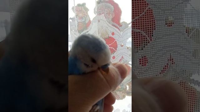 кеша смотреть онлайн