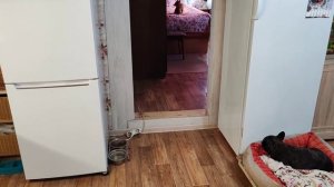 Ремонт продолжается. На финишной прямой осталось по мелочи