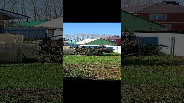 1000064184.mp4