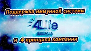 Поддержка иммунной системы и 4 принципа компа