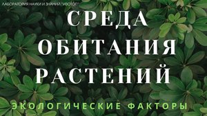 Среда обитания растений. Экологические факторы