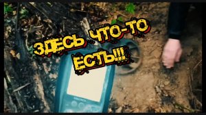 #Коп в лесу