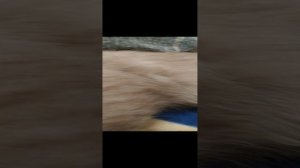 Игнат и плюша