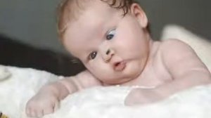 Муха жу жу. Логоритмика для детей. Детские песни и клипы.