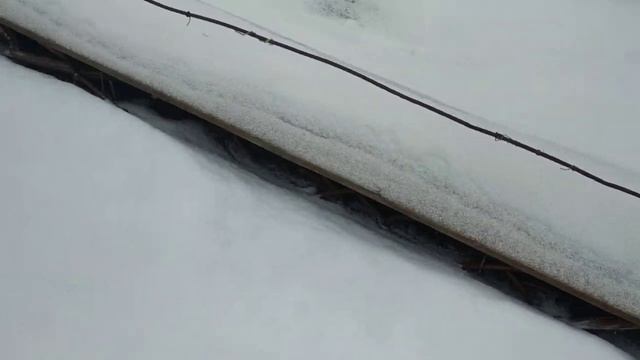 Виноград. Дожди и морозы в декабре смотреть онлайн