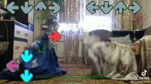 битва снюсоедов